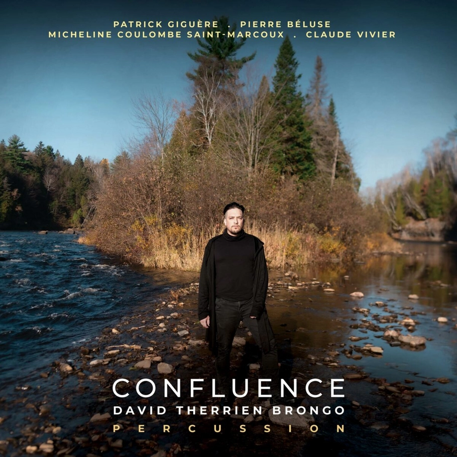 Cover for the album Confluence