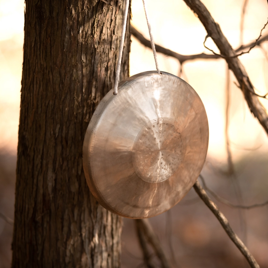 Photo of a cymbal tied to a tree