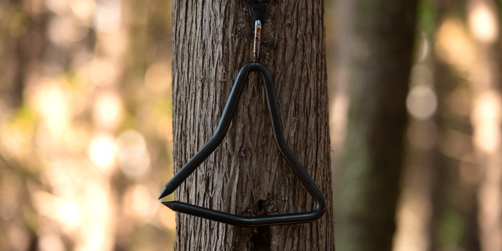 Photo of a triangle hanging from a tree